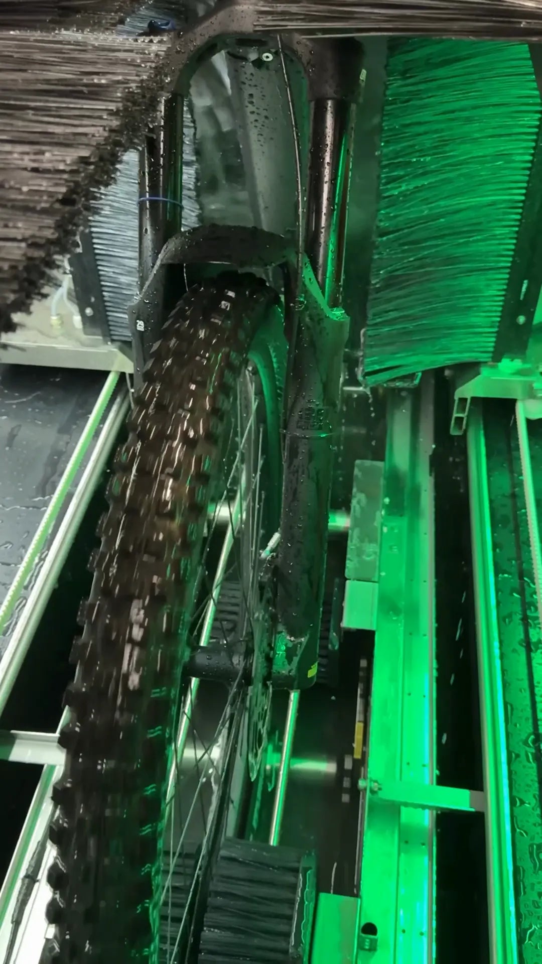 Pro